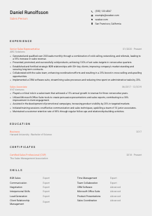 Sales Person Resume Template #3