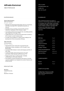 Sales Professional CV Template #3