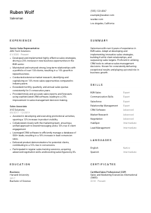 Salesman CV Template #1