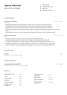 National Account Manager Resume Example