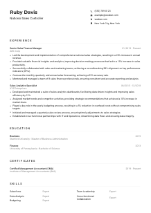 National Sales Controller Resume Example