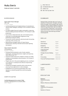 National Sales Controller Resume Template #13