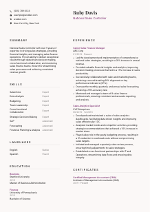 National Sales Controller CV Template #20