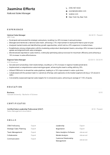 National Sales Manager CV Example