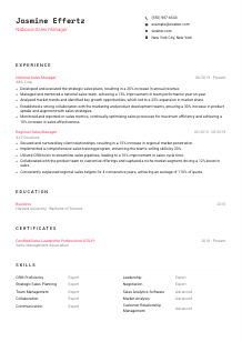 National Sales Manager CV Template #4