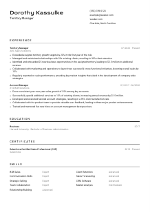 Territory Manager CV Template #2