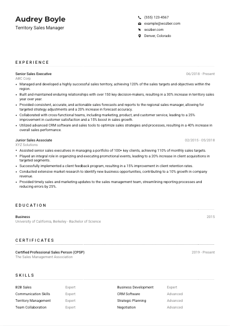 Territory Sales Manager CV Example