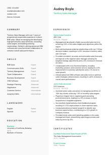 Territory Sales Manager CV Template #2