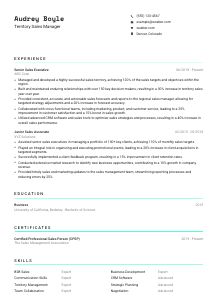 Territory Sales Manager CV Template #3