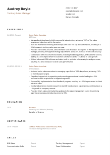 Territory Sales Manager CV Template #1