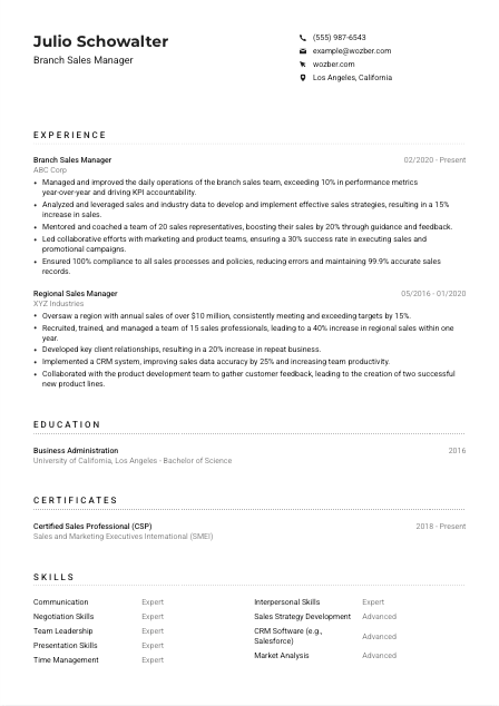 Branch Sales Manager Resume Example