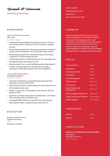 Advertising Sales Rep CV Template #3