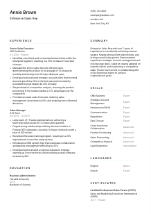Enterprise Sales Rep CV Template #5