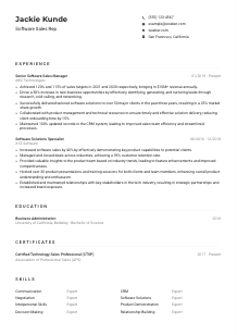 Software Sales Rep Resume Example