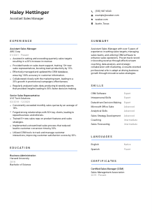 Assistant Sales Manager CV Template #2
