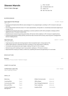 District Sales Manager Resume Example