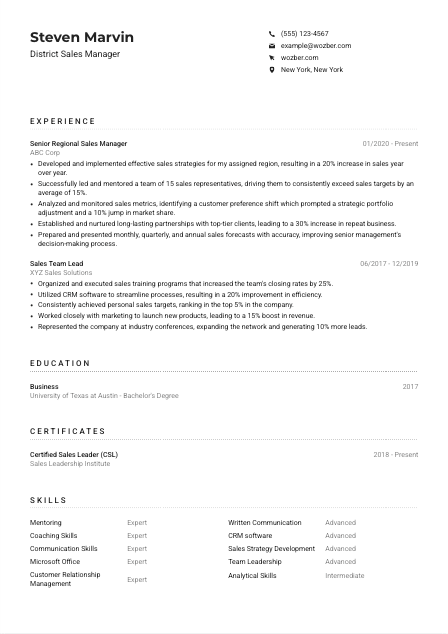 District Sales Manager CV Example