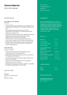 District Sales Manager Resume Template #2