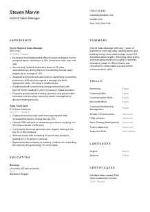 District Sales Manager CV Template #1
