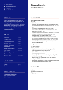 District Sales Manager CV Template #3