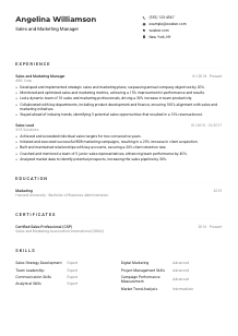 Sales and Marketing Manager CV Example