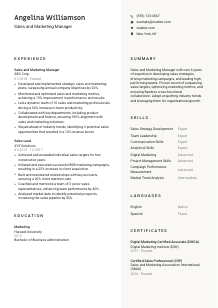Sales and Marketing Manager CV Template #2