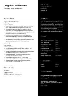Sales and Marketing Manager CV Template #3