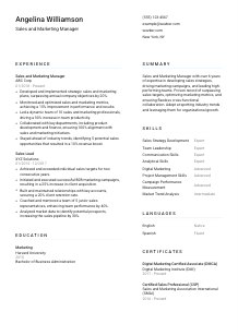 Sales and Marketing Manager CV Template #1