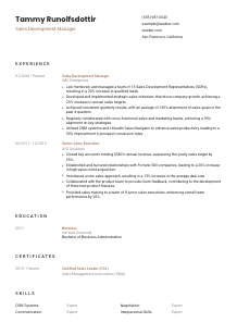 Sales Development Manager Resume Template #1