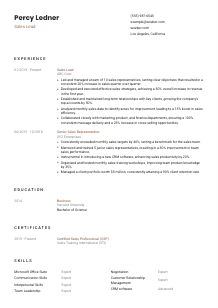 Sales Lead CV Template #1