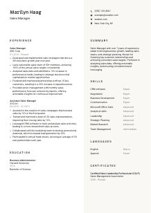 Sales Manager CV Template #13