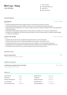 Sales Manager CV Template #18