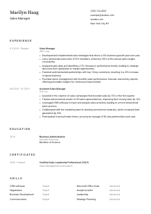 Sales Manager Resume Template #3