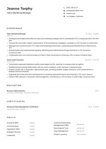 Sales Marketing Manager CV Example