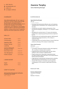 Sales Marketing Manager CV Template #3
