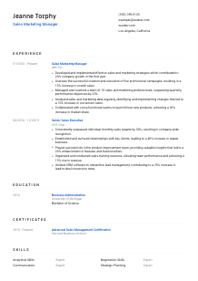 Sales Marketing Manager CV Template #1