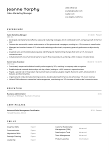 Sales Marketing Manager CV Template #2