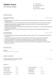 Sales Operation Manager Resume Example