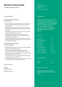 Advertising Sales Executive Resume Template #16