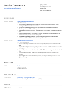 Advertising Sales Executive Resume Template #8