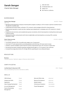 Channel Sales Manager Resume Example