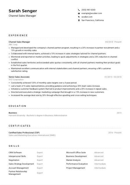 Channel Sales Manager CV Example