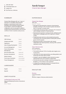 Channel Sales Manager CV Template #20
