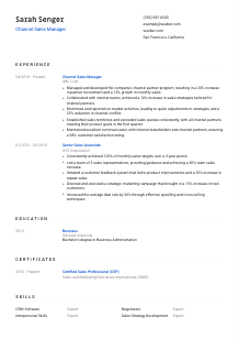 Channel Sales Manager CV Template #8