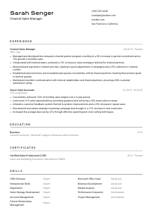 Channel Sales Manager CV Template #9