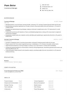 Commercial Manager Resume Example