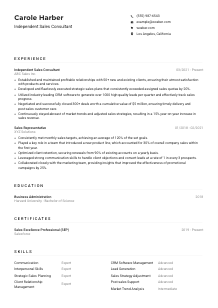Independent Sales Consultant Resume Example