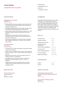 Independent Sales Consultant Resume Template #2