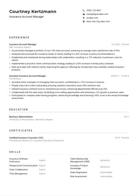 Insurance Account Manager Resume Example