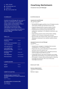 Insurance Account Manager CV Template #21